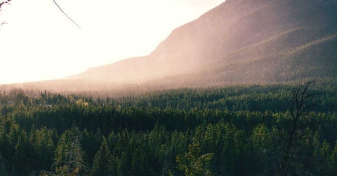 Spinal & Postural Screenings